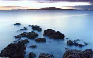 Whales Loading ENA, LINK, AAVE in Altcoin 'Rally': The Predictable Play You're Missing