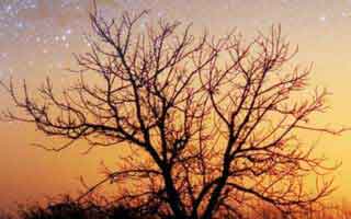 Con Edison: Your Service, Bills, & Customer Experience