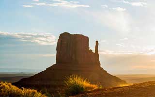 Halda Therapeutics: What's Up With The Stock?