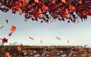 pizza: Its Future and The Revolution Brewing