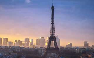 pizza: Its Future and The Revolution Brewing