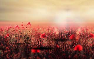 Con Edison: Your Service, Bills, & Customer Experience